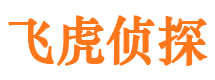 甘洛侦探公司